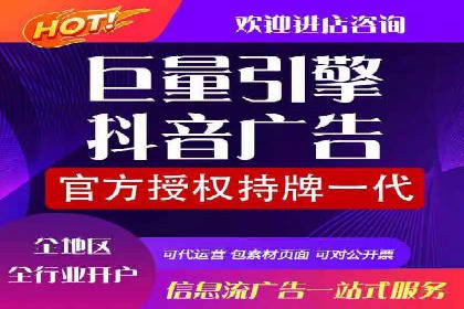 某电商平台的SEM策略与效果展示